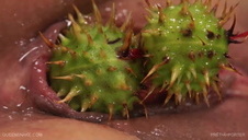 amatorskie ssanie fiuta