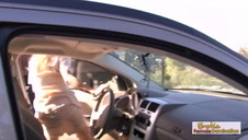 ivy aura kocha soczystą minetkę