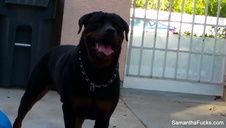 wsadza szklaną zabawkę w analną dziurę wypiętej uczennicy