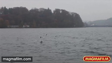 ruska wytrzepana jak turecki dywan