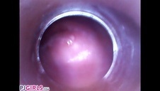 brunetka liże jej przystrzyżoną picz