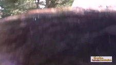 głęboka dupa rudej suczki