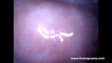 sperma na kudłatej piczy jessie andrews