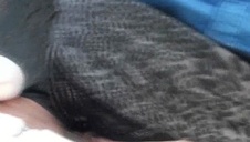 amatorski sex chudej pary