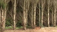 posuwa kochankę na chacie