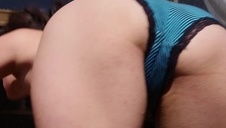 zachodnie laski mocno imprezują