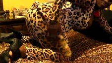 śliczna brunetka z penisem w ustach